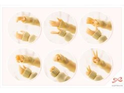 Kotobukiya Sousai Shoujo Teien Touou High School Winter Clothes Madoka Yuki 1/10 Scale Model Kit -Bandai Sales Store 419716ea a12c 4d35 8e8e d572eee3add7